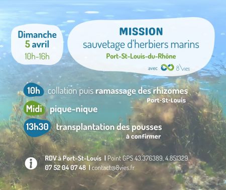 stchamaq657440112 1673610210931933 2534297880221954362 n